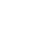pro-icon-2