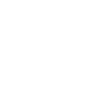 pro-icon-4