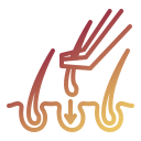 serv_icon_3