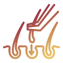 serv_icon_3