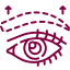 Eyebrow Reconstruction